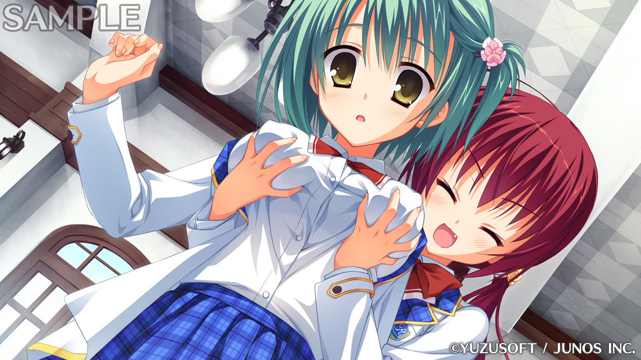 NOBLE☆WORKS / のーぶる☆わーくす插图2 NOBLE☆WORKS / のーぶる☆わーくす插图2